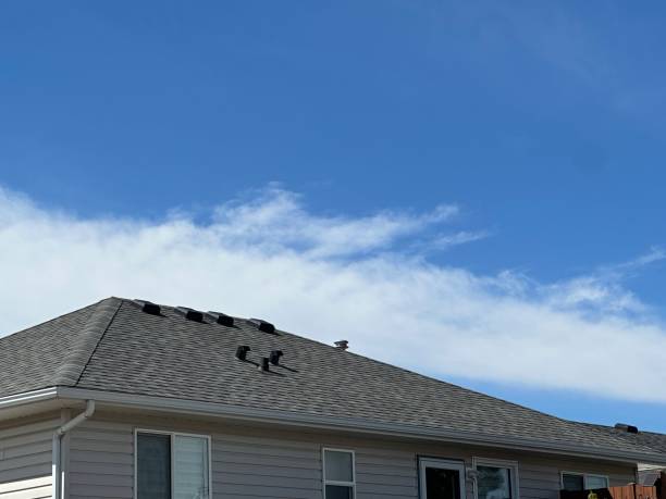 Best Gutter Installation and Repair  in Priest River, ID
